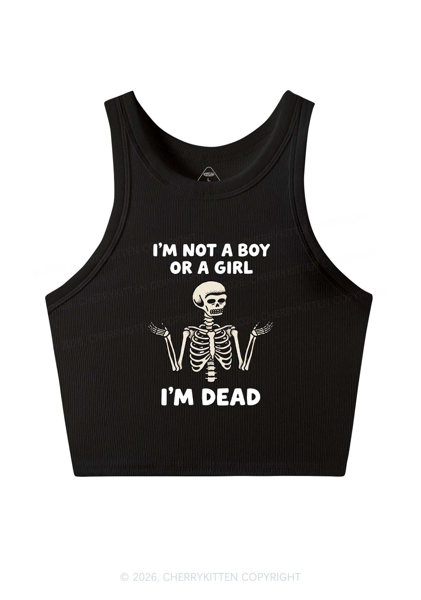 Im Not A Boy Or A Girl Pride Y2K Crop Tank Top Cherrykitten