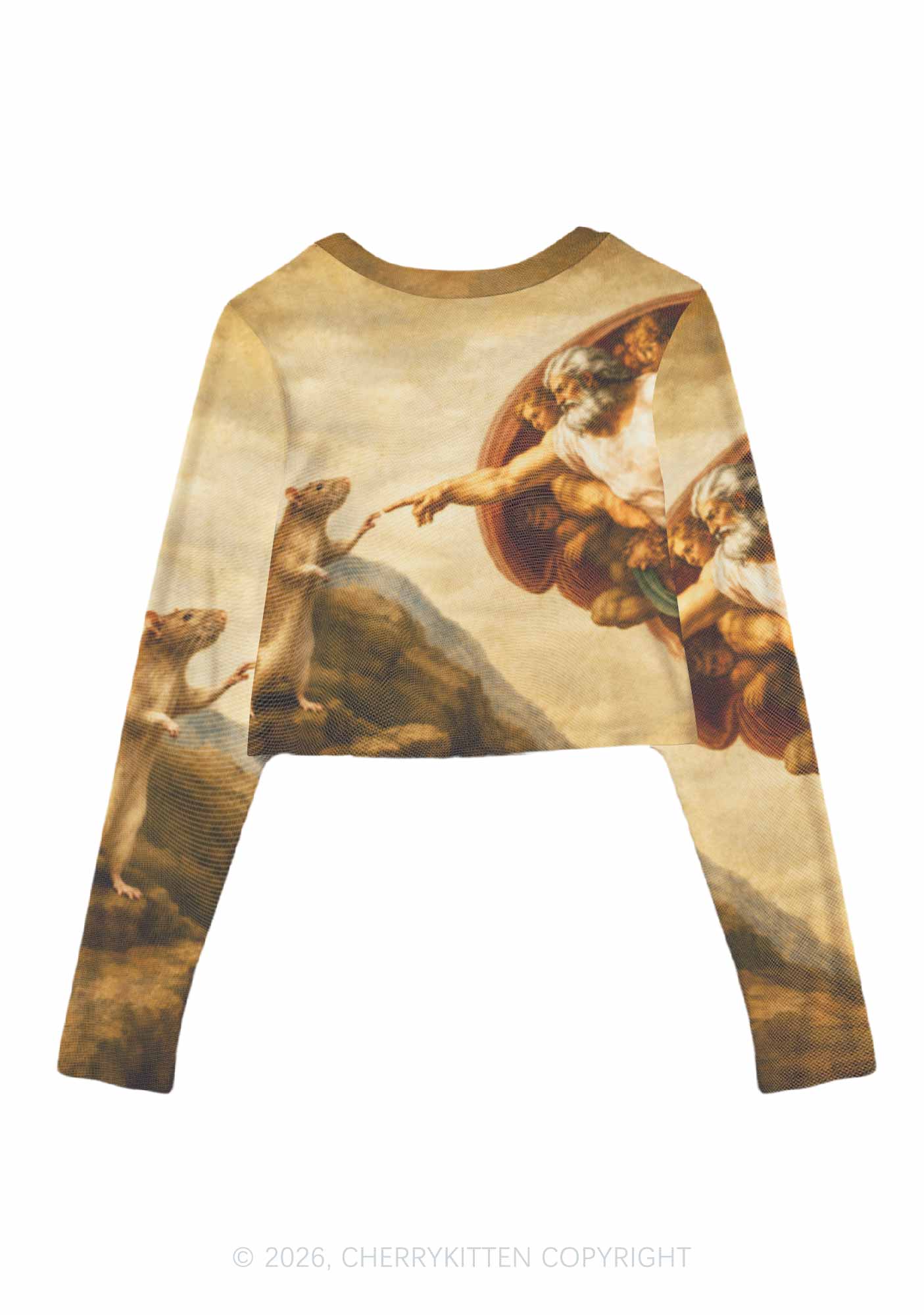 God Hand Touching Rat Y2K Mesh Long Sleeve Crop Top Cherrykitten