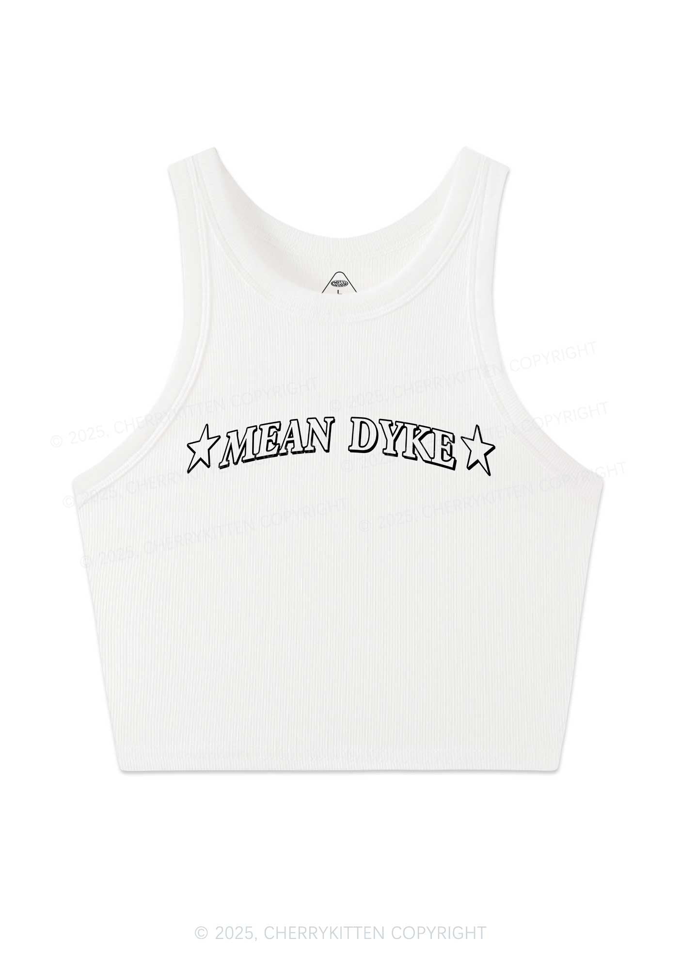 Mean Dyke Pride Y2K Crop Tank Top Cherrykitten