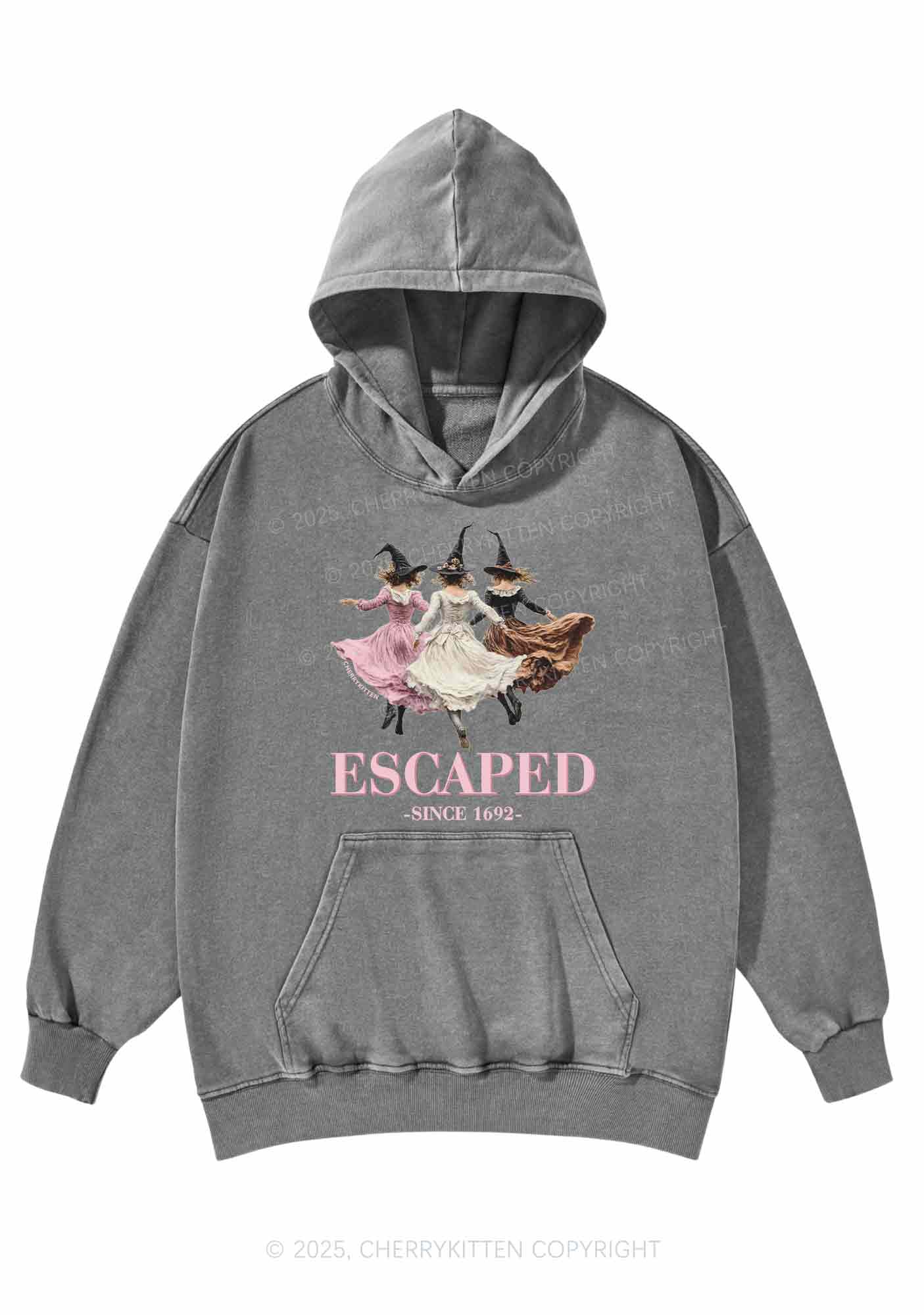 Halloween Escaped Skirts Witches Y2K Washed Hoodie Cherrykitten