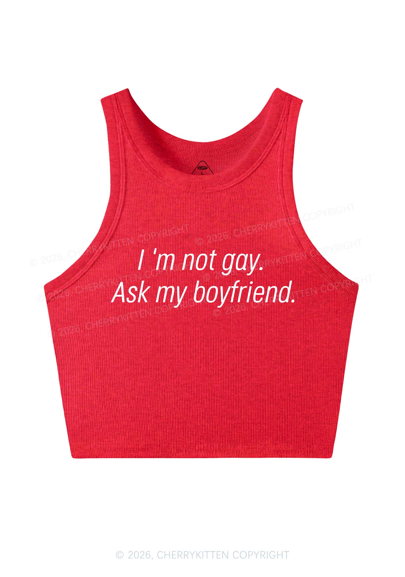 Im Not Gay Pride Y2K Crop Tank Top Cherrykitten
