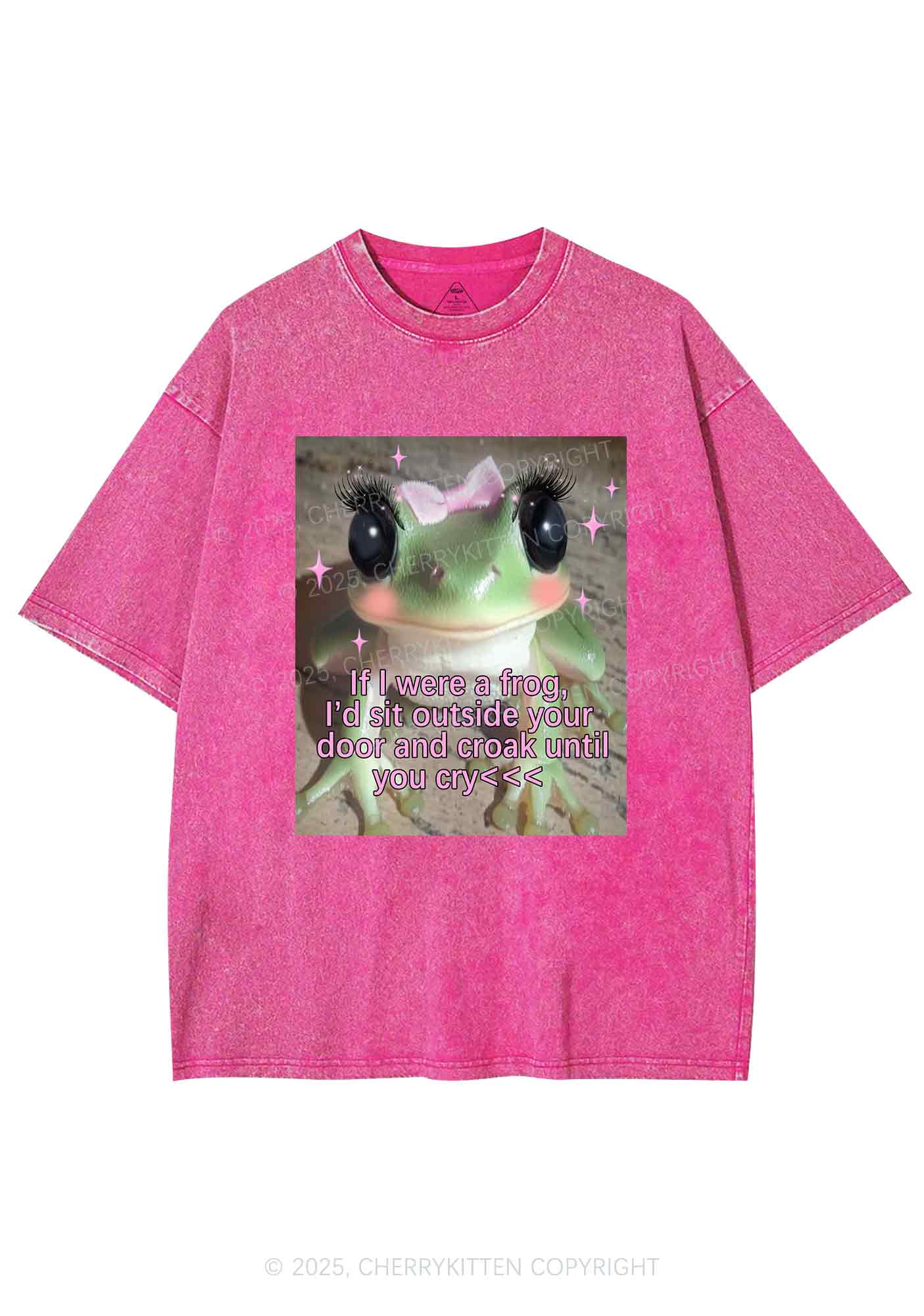 If I Were Frog Y2K Shirts Washed Tee Cherrykitten