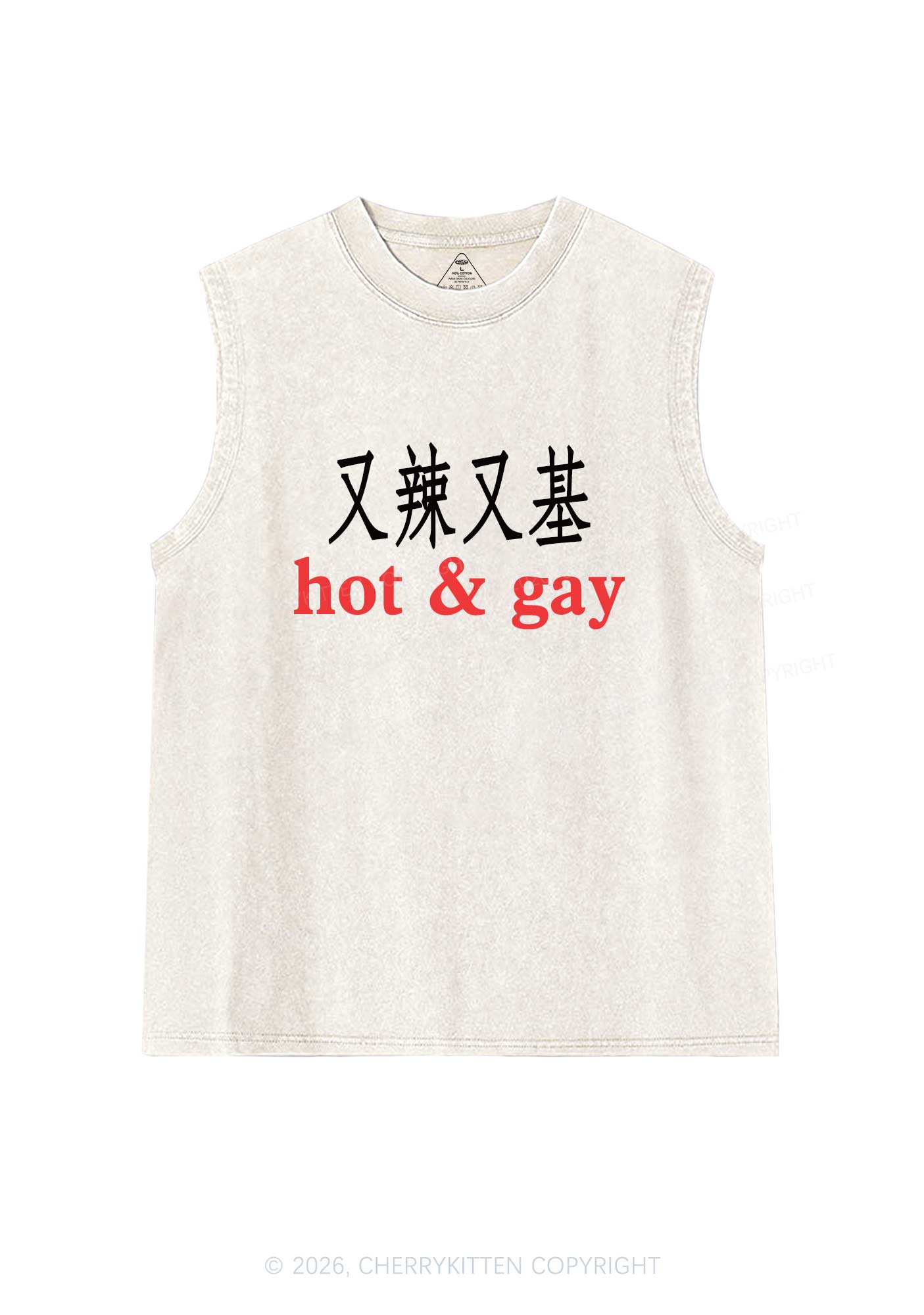 Hot Gay Pride Y2K Washed Muscle Tank Cherrykitten