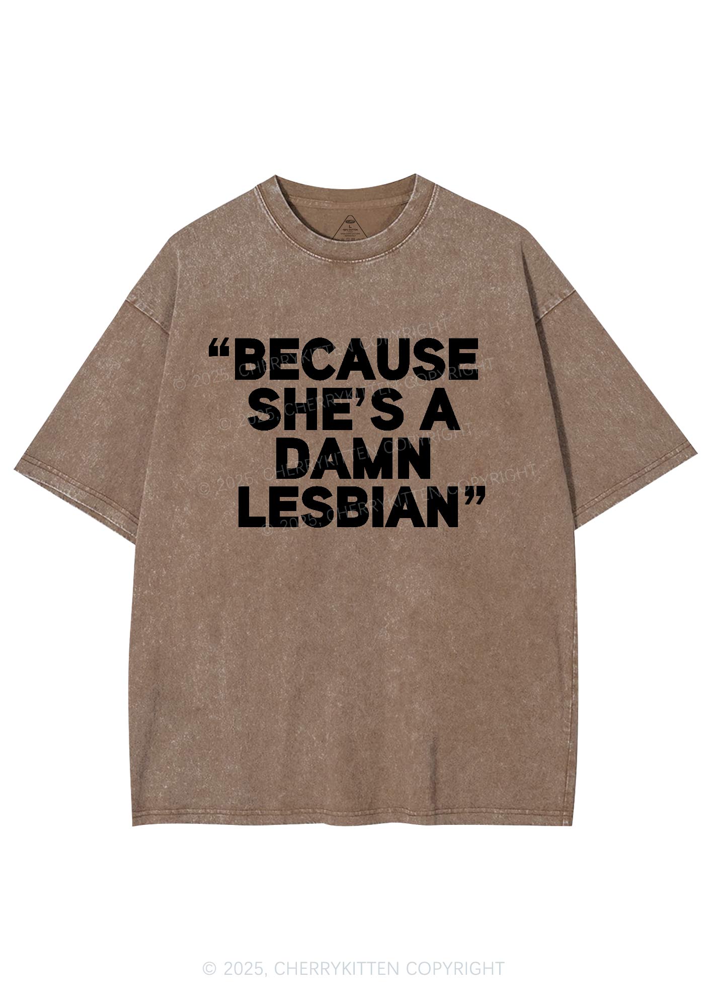 She's A Damn Lesbian Y2K Shirts Washed Tee Cherrykitten