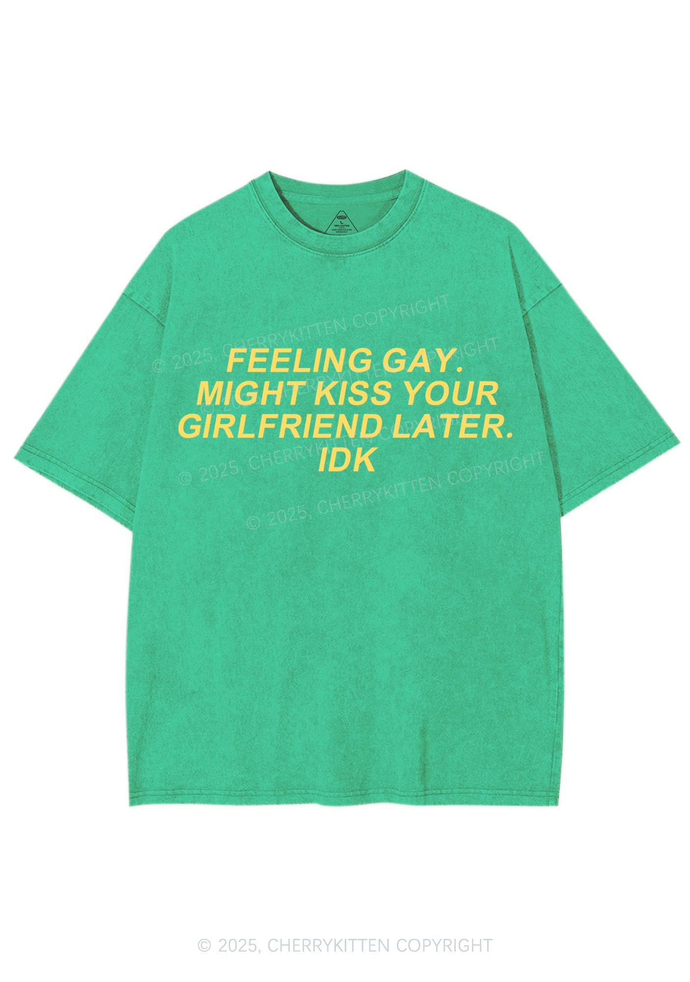 Kiss Your GF Later Pride Y2K Shirts Washed Tee Cherrykitten