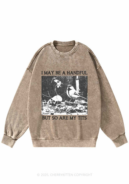 Halloween I May Be A Handful Y2K Washed Sweatshirts Cherrykitten