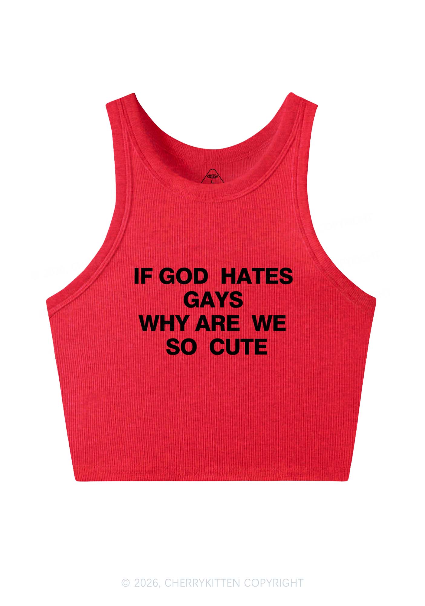 If God Hates Gays Pride Y2K Crop Tank Top Cherrykitten