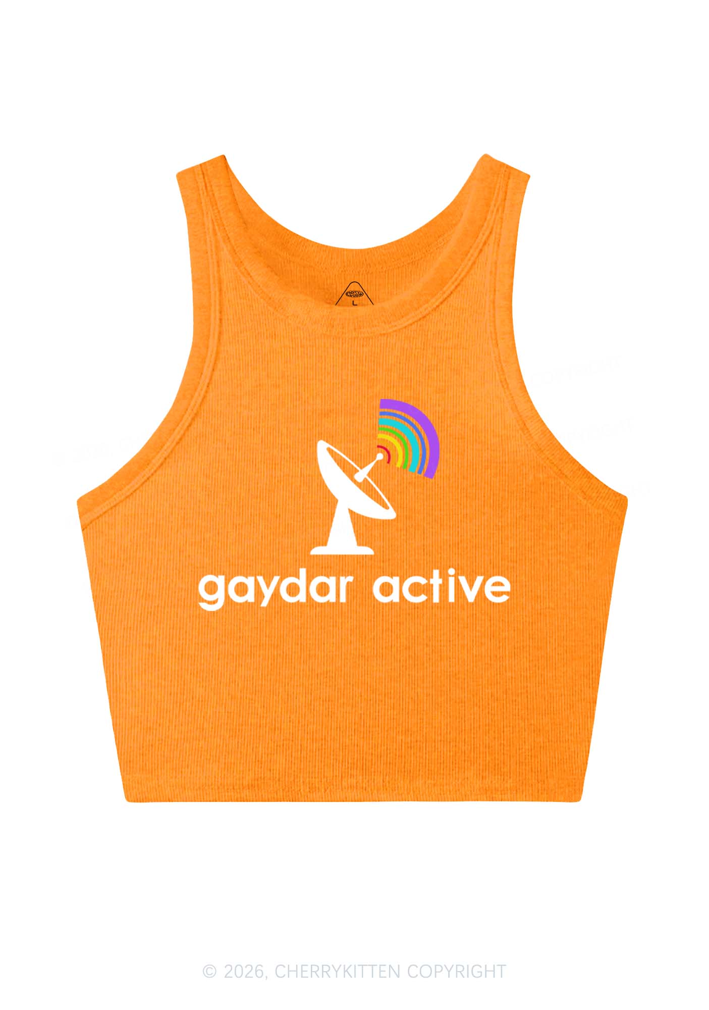 Gaydar Active Pride Y2K Crop Tank Top Cherrykitten