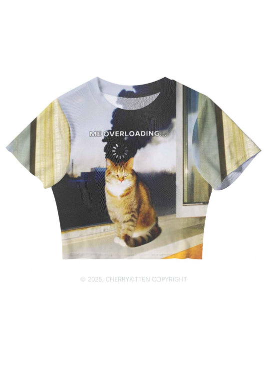 The Overloading Cat Y2K Mesh Crop Top Cherrykitten