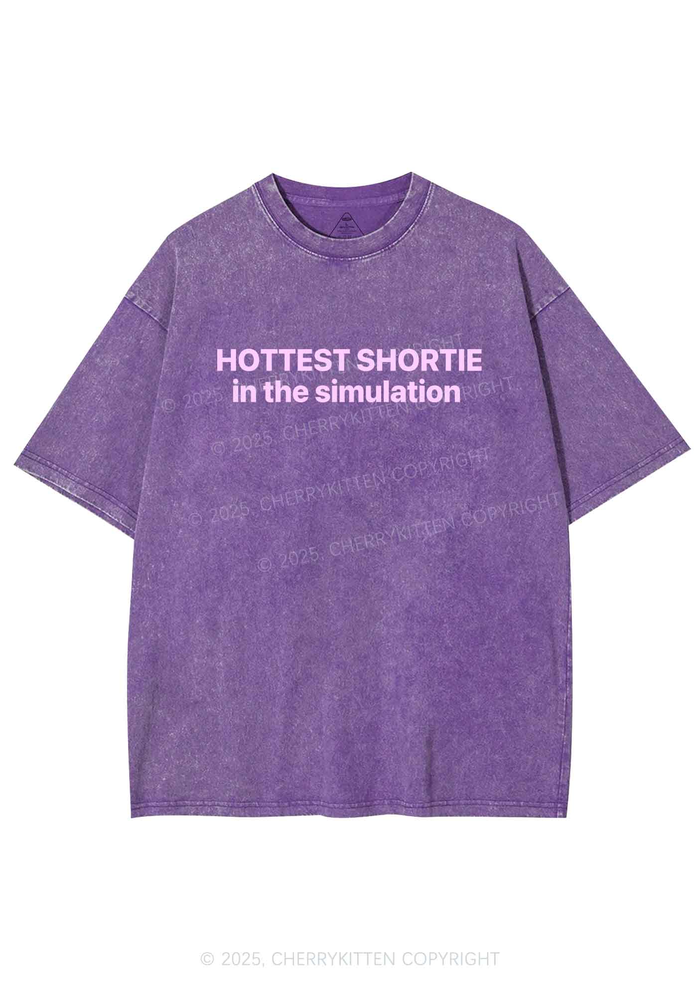 Hottest Shortie In The Simulation Y2K Shirts Washed Tee Cherrykitten