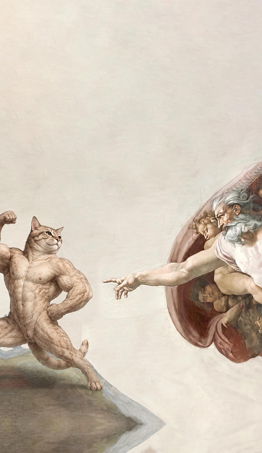 Gym Cat God Touch Y2K Phone Case Cherrykitten