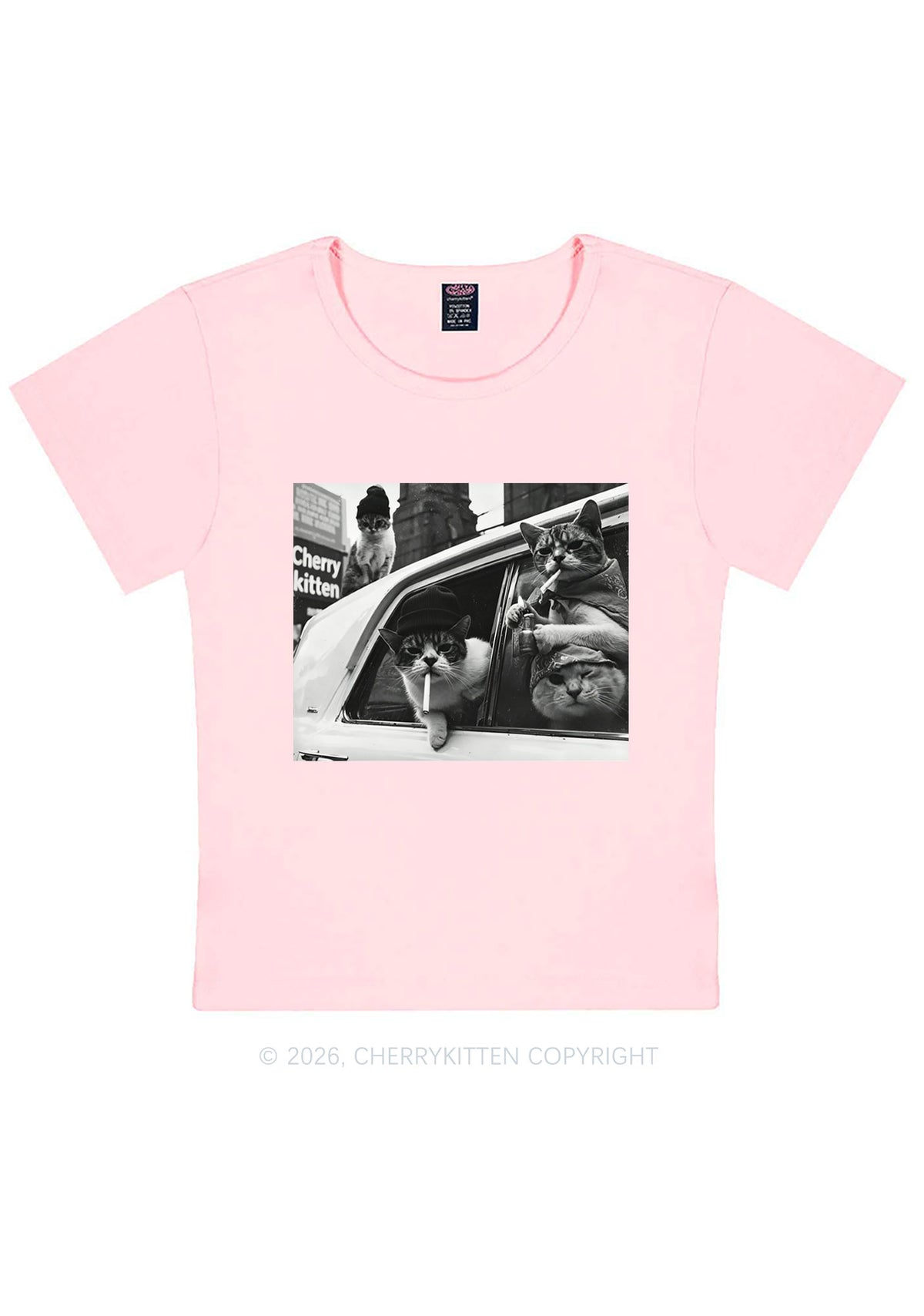 Cats Smoke In Car Y2K Baby Tee Cherrykitten
