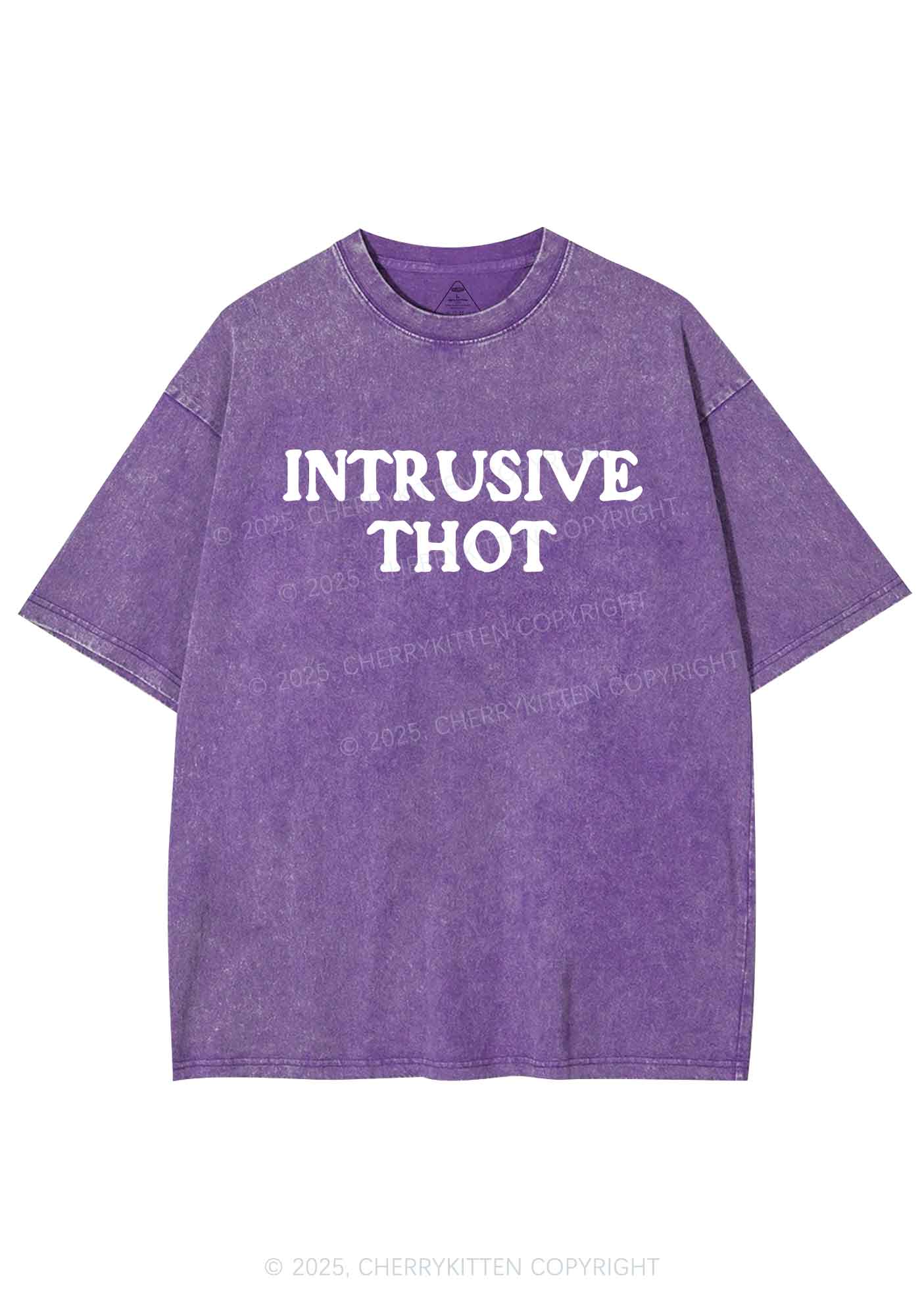 Intrusive Thot Y2K Shirts Washed Tee Cherrykitten