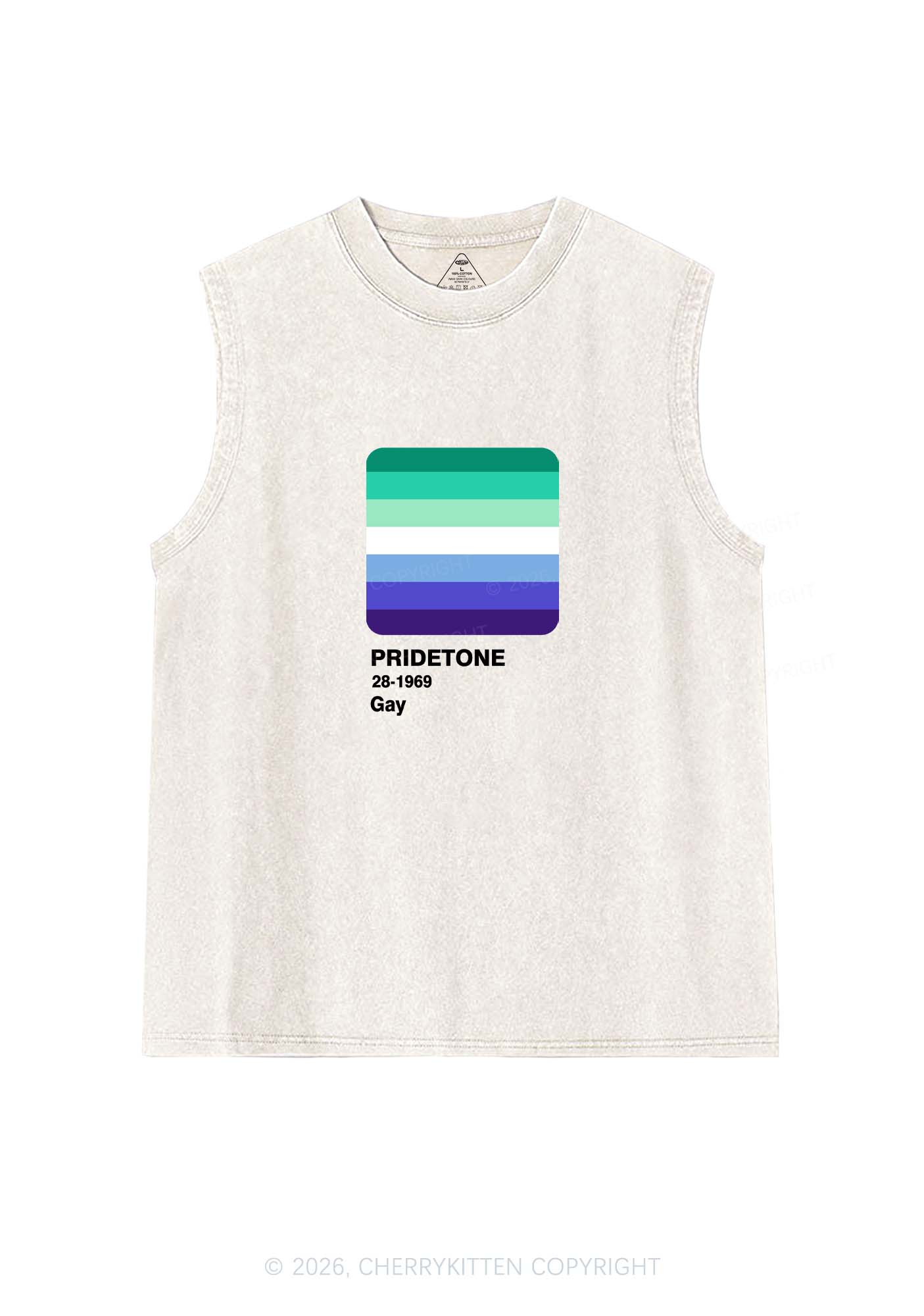Pridetone Gay Pride Y2K Washed Muscle Tank Cherrykitten