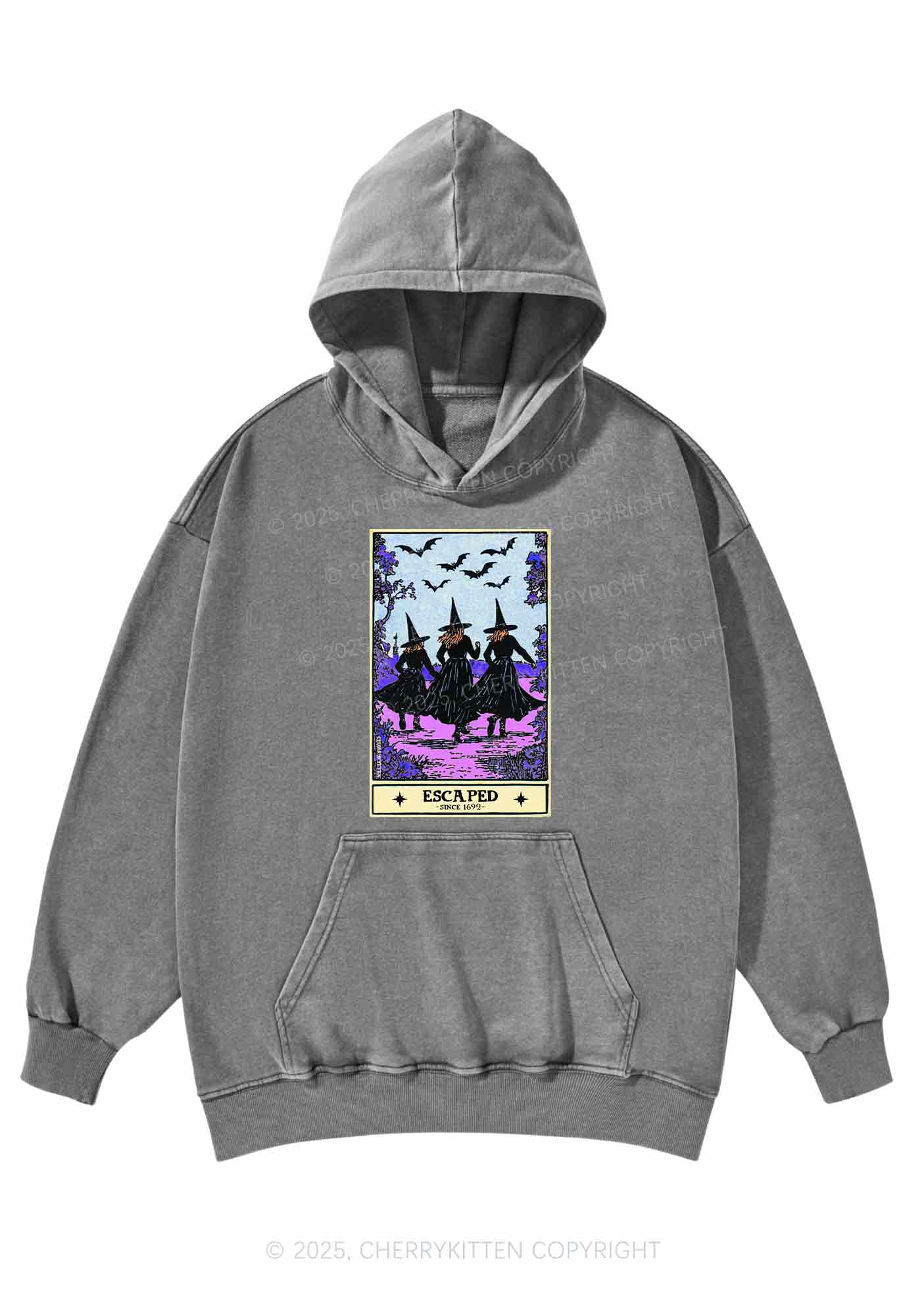 Halloween Escaped Witch Y2K Washed Hoodie Cherrykitten