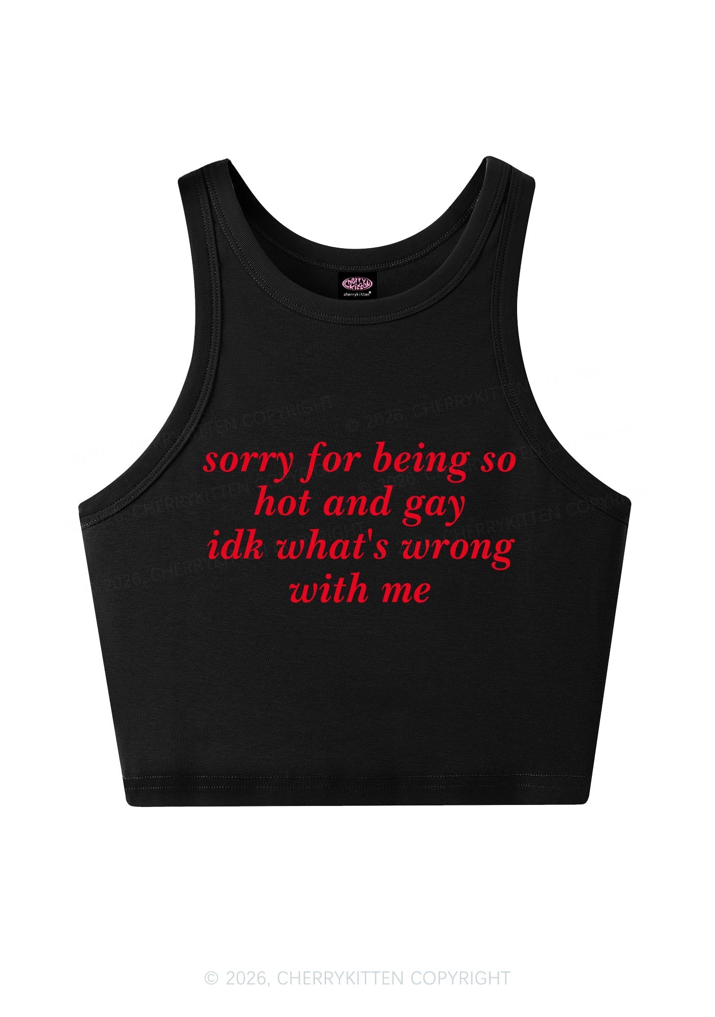Sorry For Being Gay Pride Y2K Crop Tank Top Cherrykitten