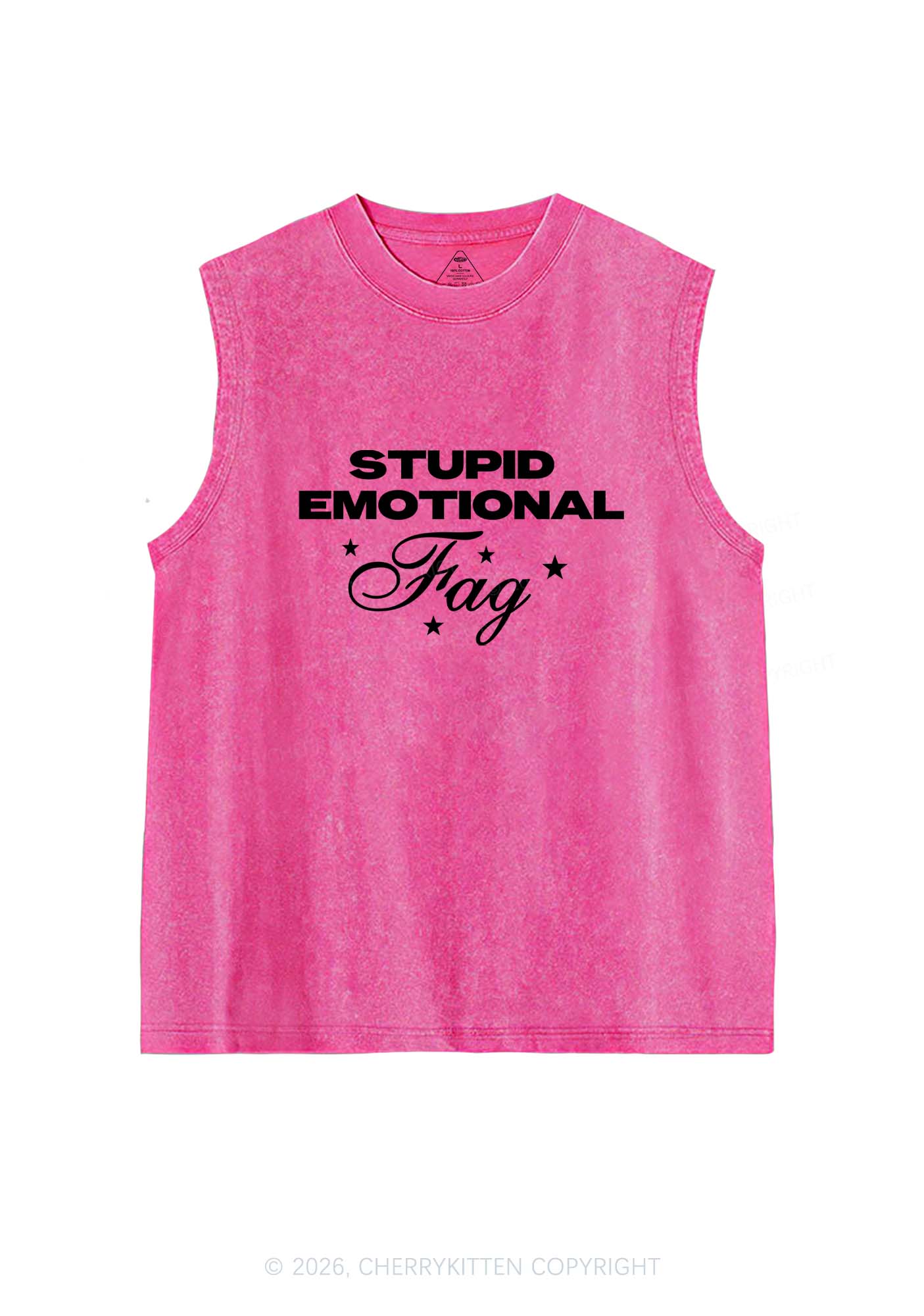 Stupid Emotional Fag Pride Y2K Washed Muscle Tank Cherrykitten