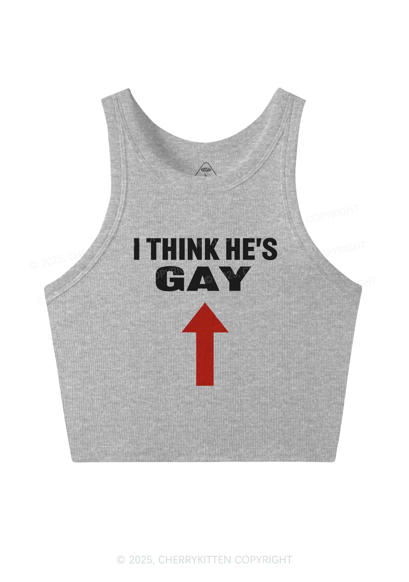 He Is Gay Y2K Crop Tank Top Cherrykitten