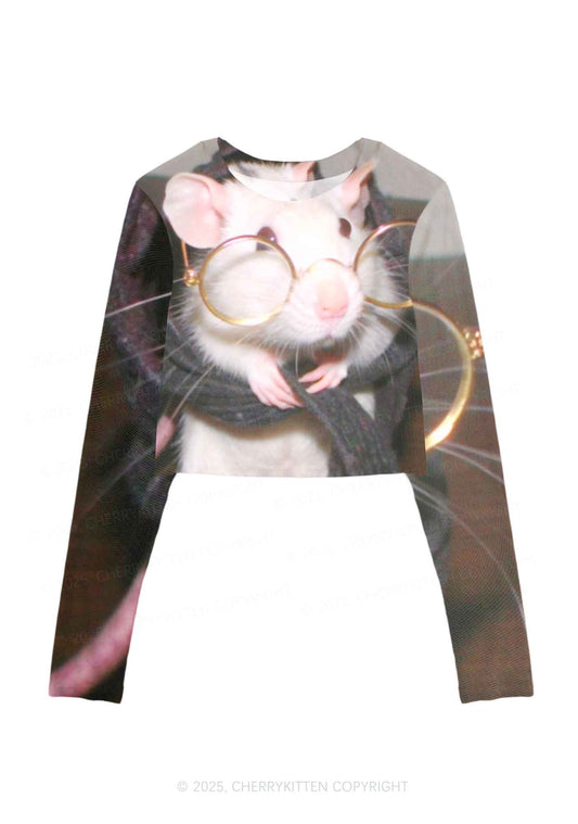 Glasses Rat Y2K Mesh Long Sleeve Crop Top Cherrykitten
