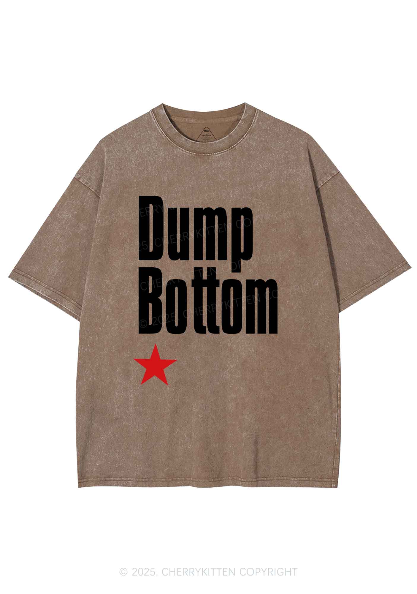 Dump Bottom Pride Y2K Shirts Washed Tee Cherrykitten