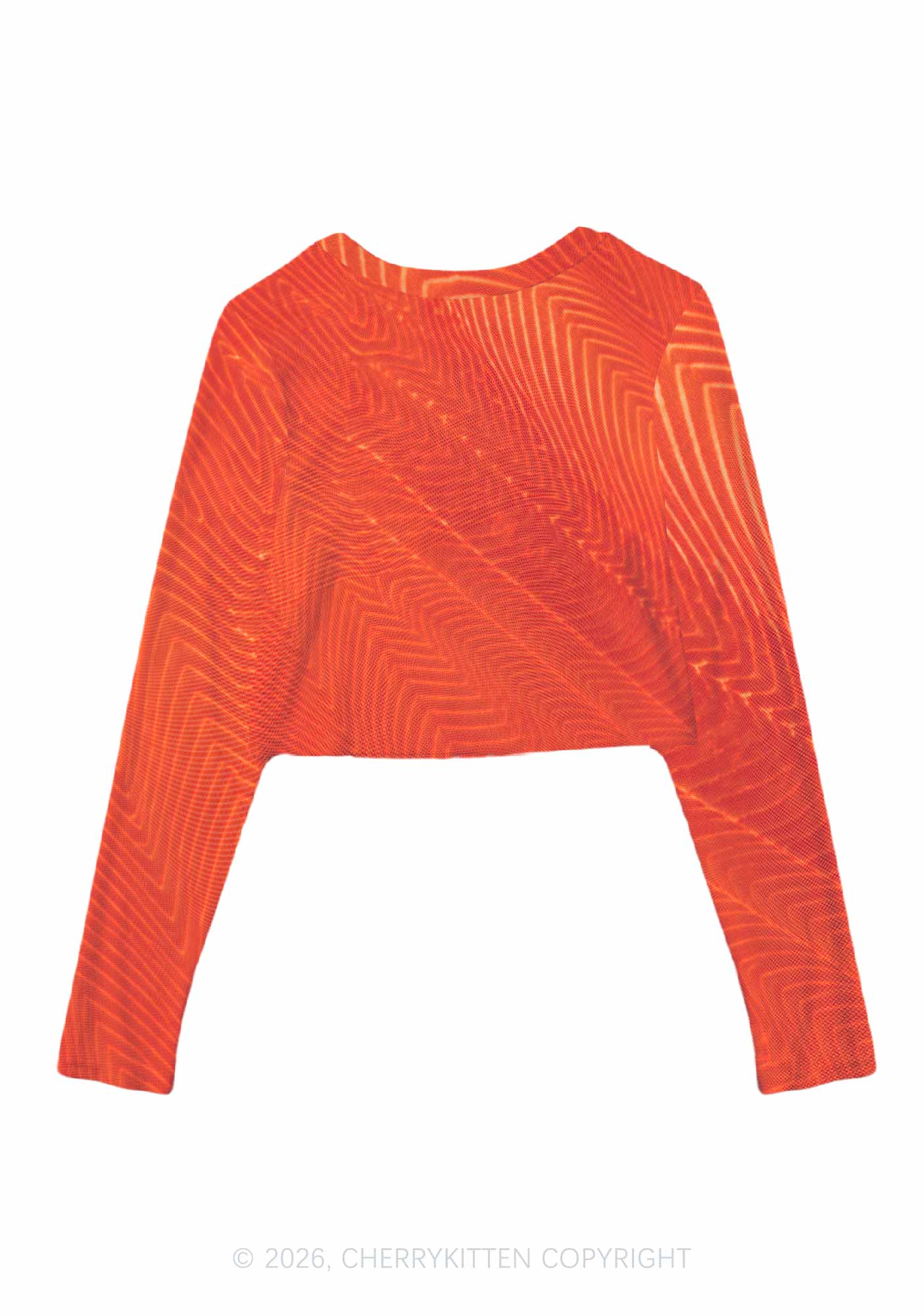 Salmon Meat Texture Y2K Mesh Long Sleeve Crop Top Cherrykitten