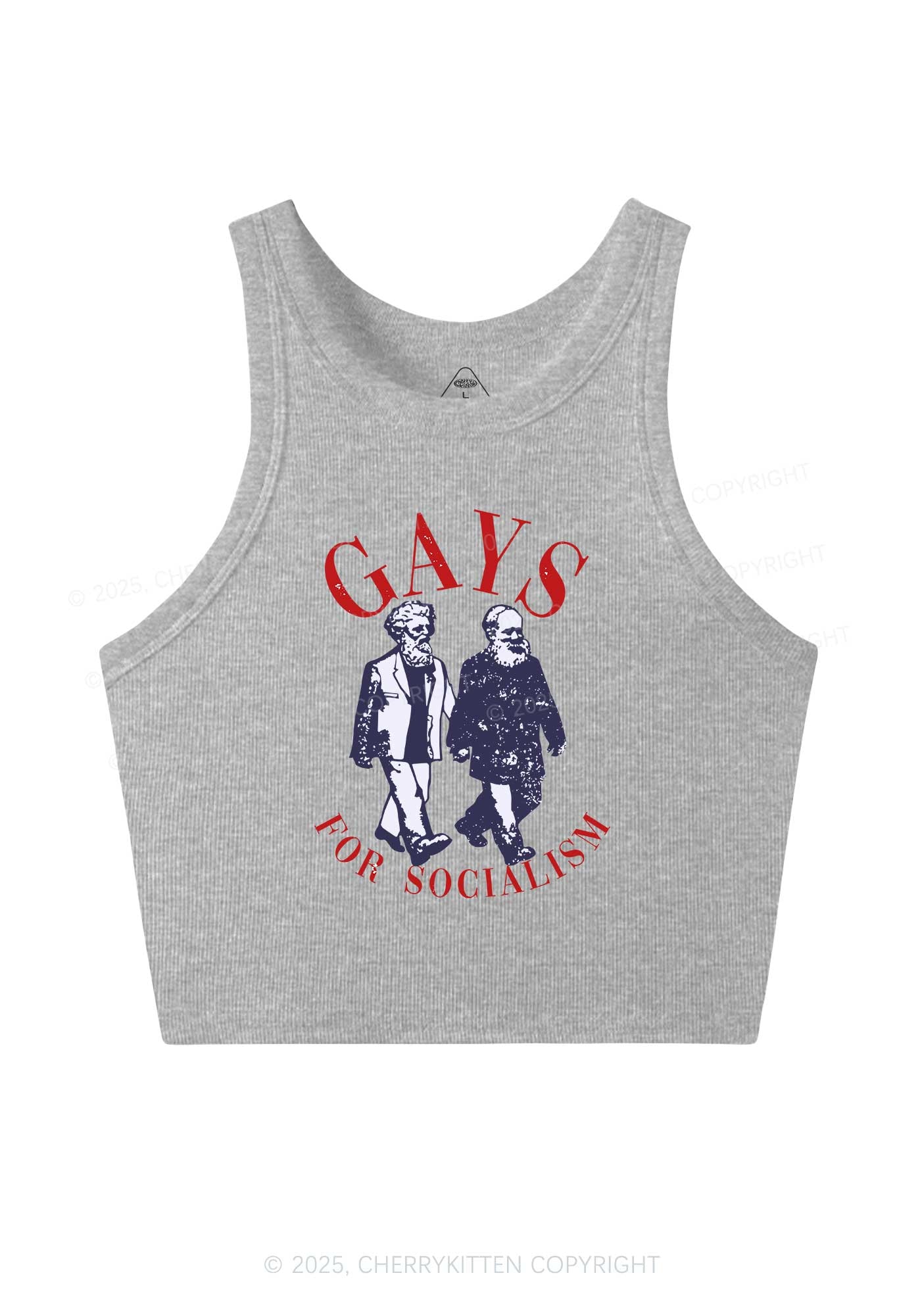 Gays For Socialism Pride Y2K Crop Tank Top Cherrykitten