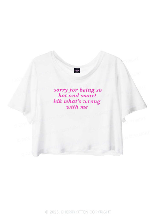 Sorry For Being So Smart  Y2K Sheer Crop Tee Cherrykitten