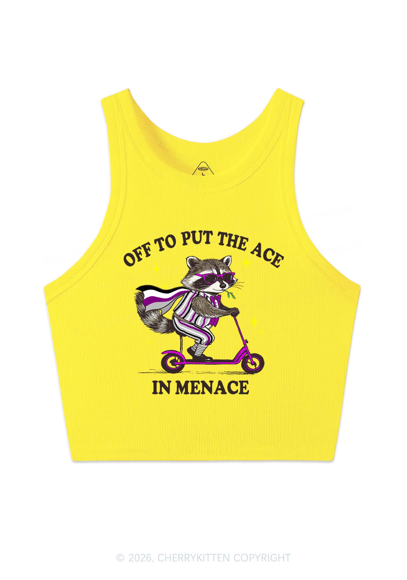 Put The Ace In Menace Pride Y2K Crop Tank Top Cherrykitten
