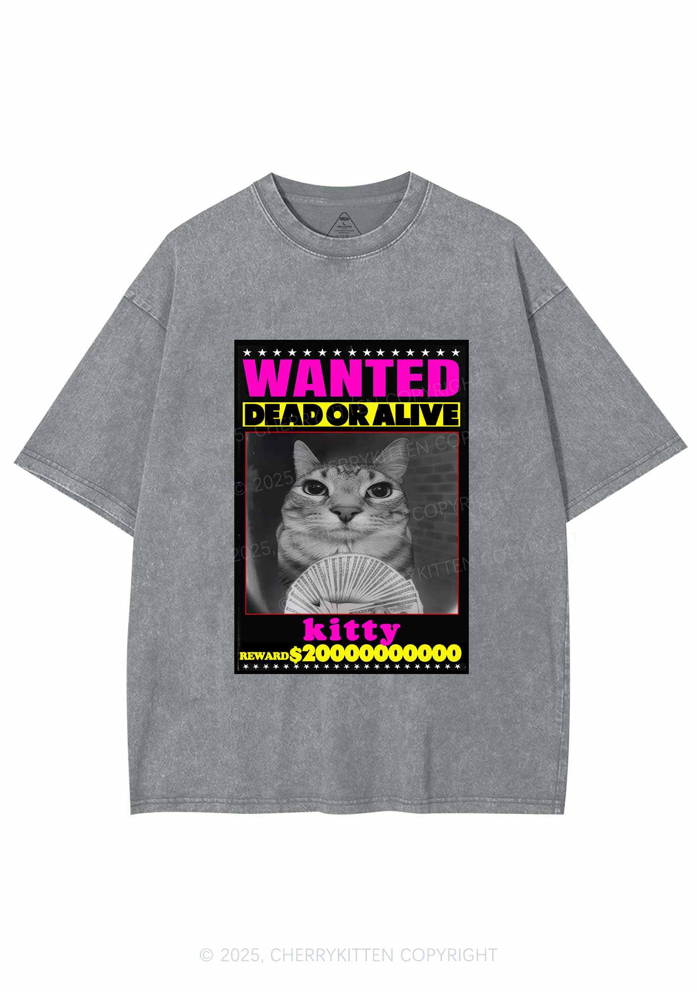 Custom Wanted Kitten Y2K Shirts Washed Tee Cherrykitten