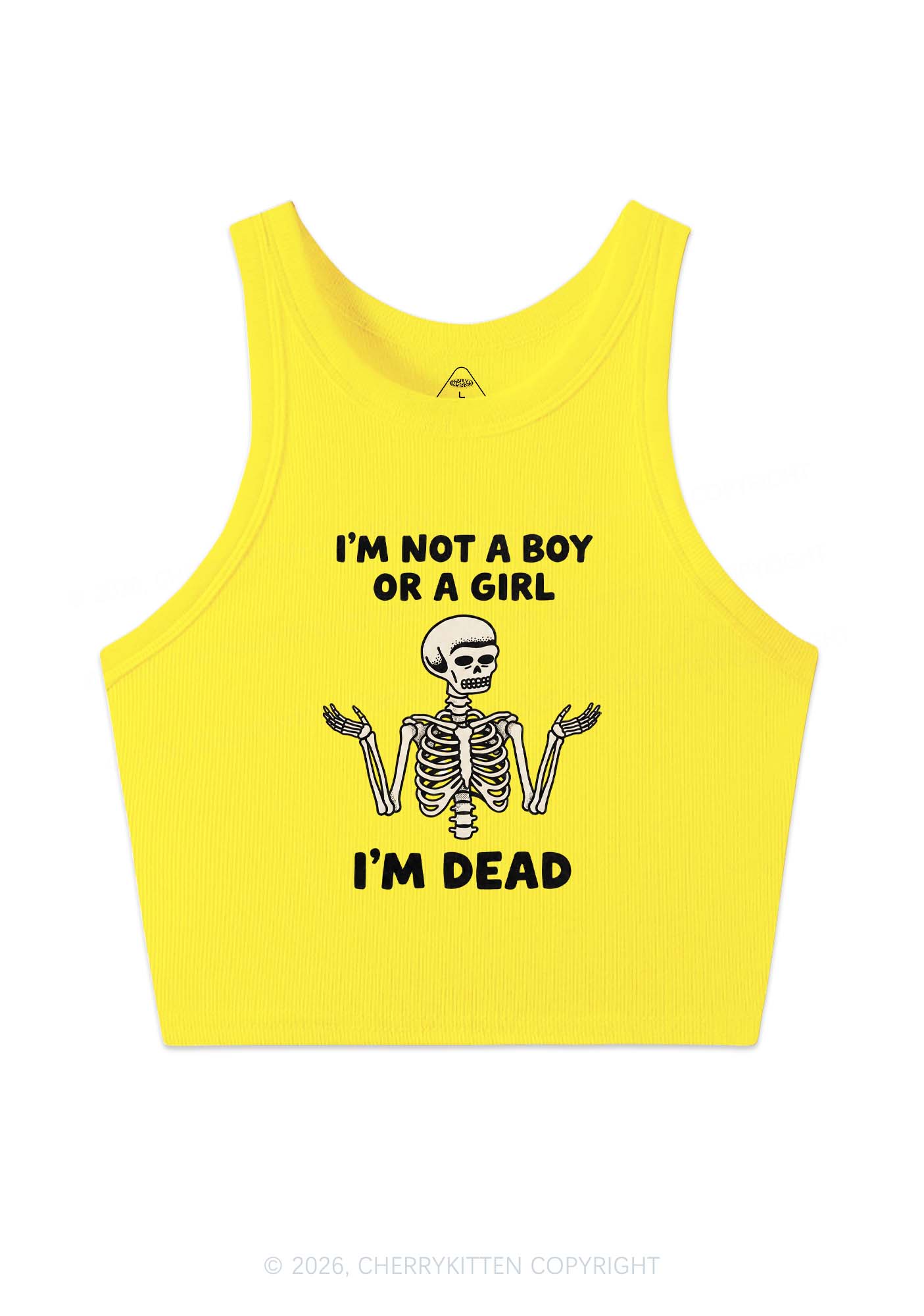 Im Not A Boy Or A Girl Pride Y2K Crop Tank Top Cherrykitten
