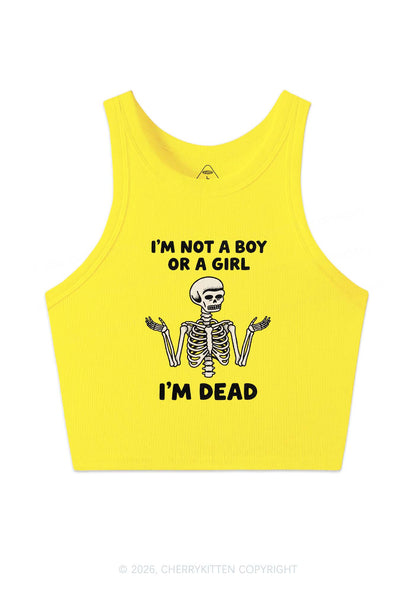 Im Not A Boy Or A Girl Pride Y2K Crop Tank Top Cherrykitten