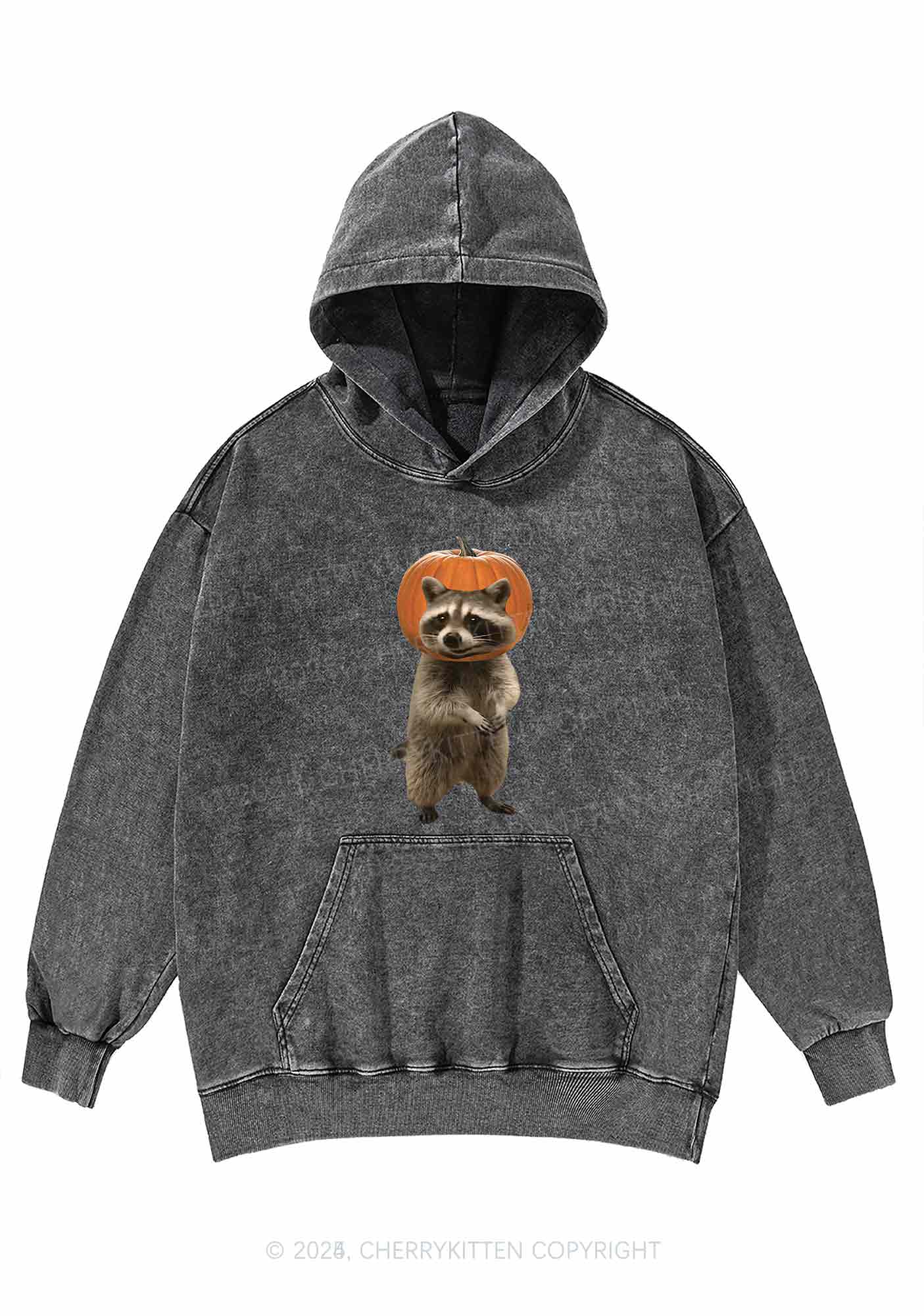 Halloween Silly Raccoon Y2K Washed Hoodie Cherrykitten