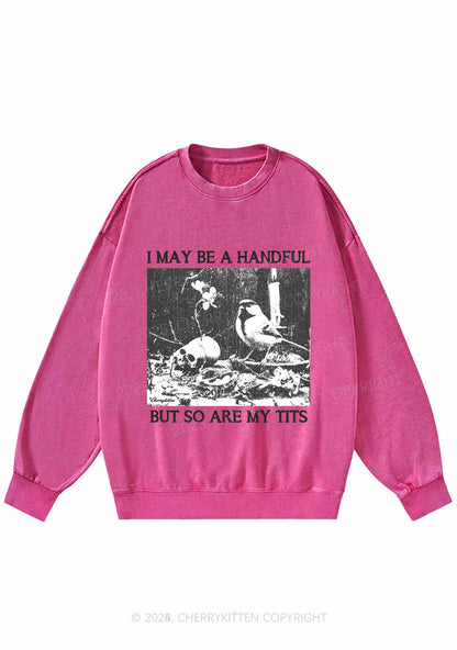 Halloween I May Be A Handful Y2K Washed Sweatshirts Cherrykitten
