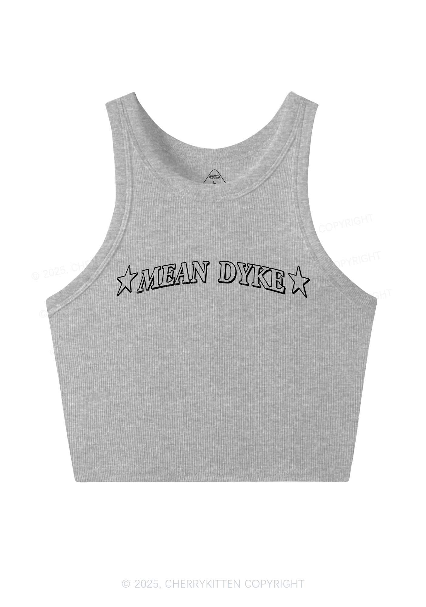 Mean Dyke Pride Y2K Crop Tank Top Cherrykitten