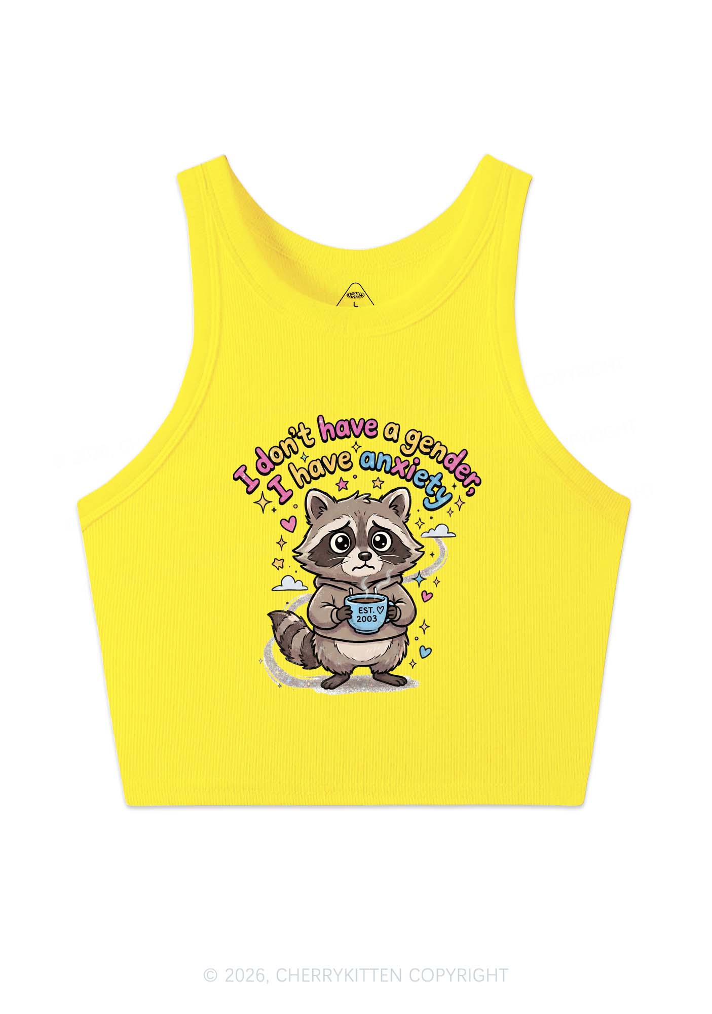 Raccoon I dont Have A Gender Pride Y2K Crop Tank Top Cherrykitten