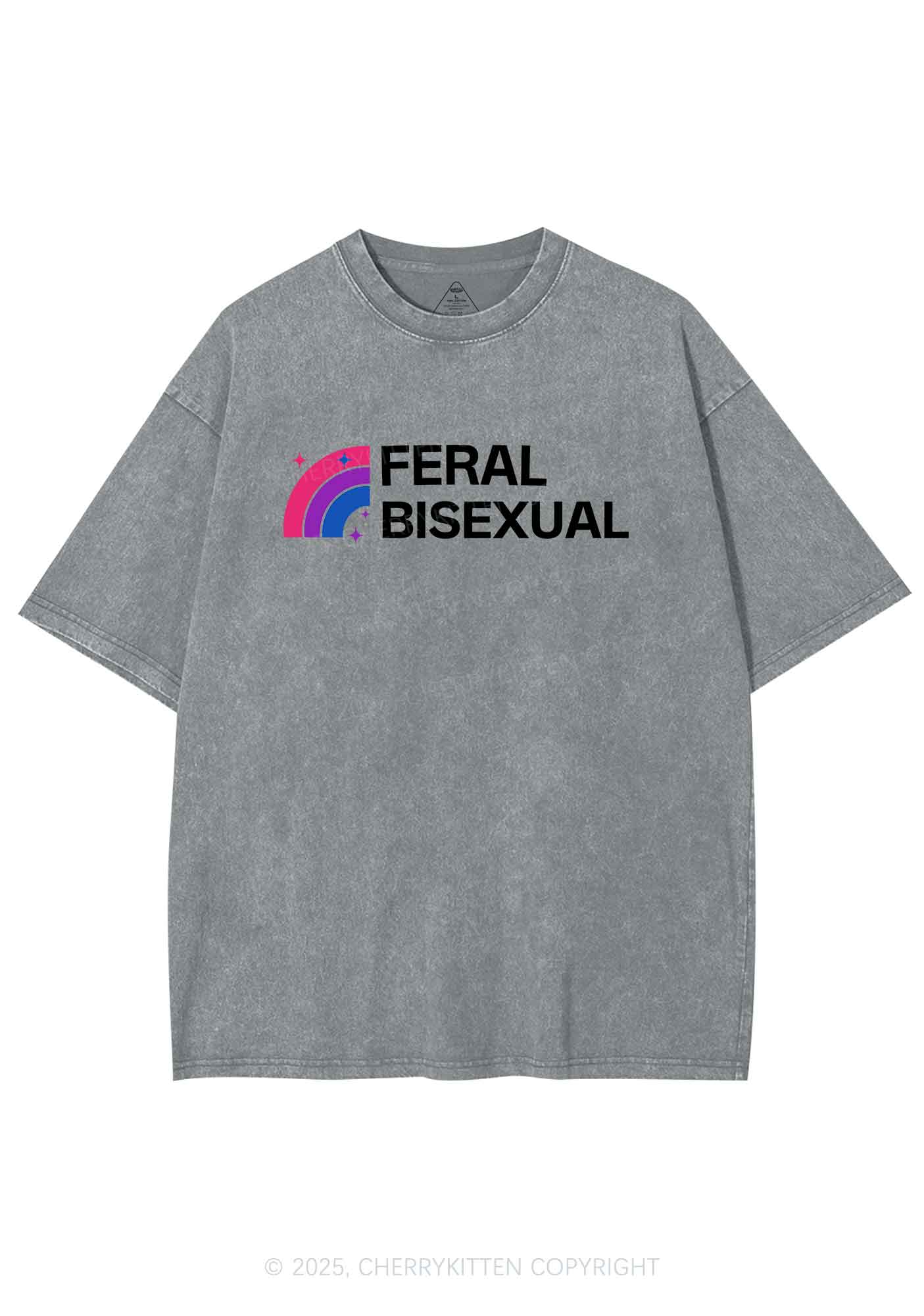 Feral Bisexual Pride Y2K Shirts Washed Tee Cherrykitten