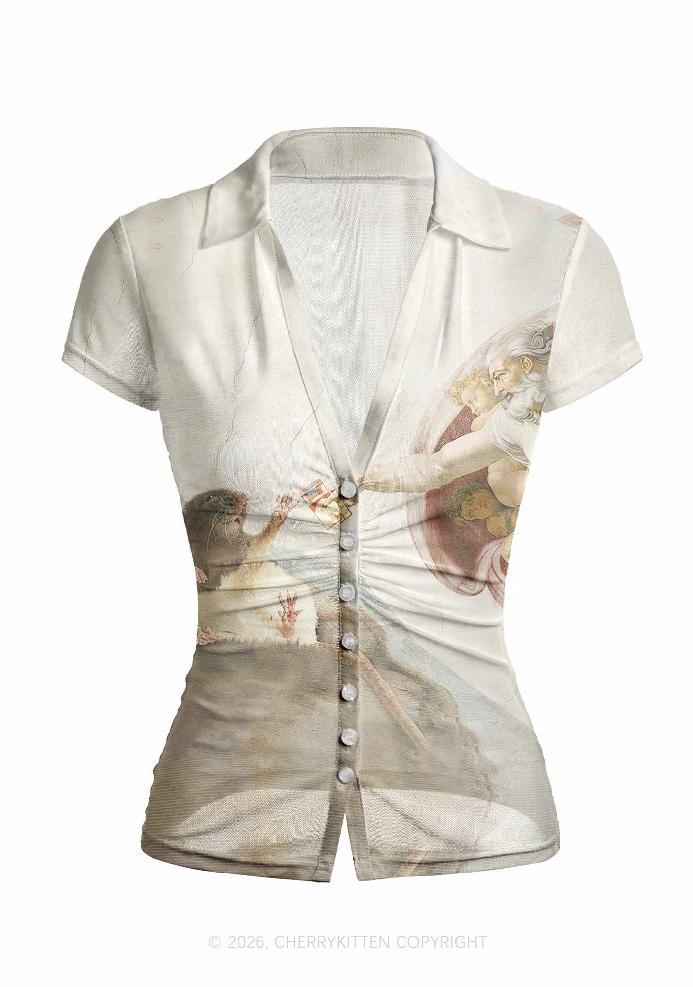 God And Rat Y2K Mesh Ruched? Waist??V Neck?Top Cherrykitten