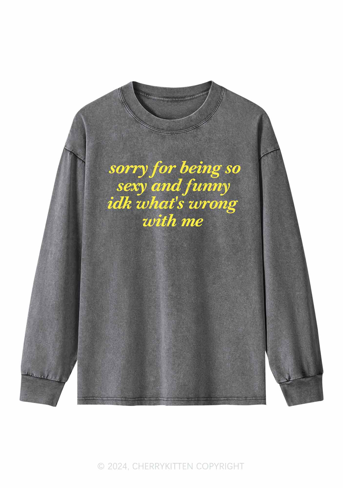 Sorry For Being So Funny Y2K Washed Long Sleeves Cherrykitten