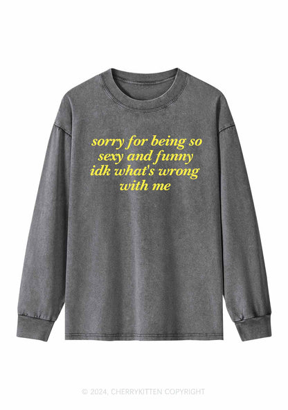 Sorry For Being So Funny Y2K Washed Long Sleeves Cherrykitten
