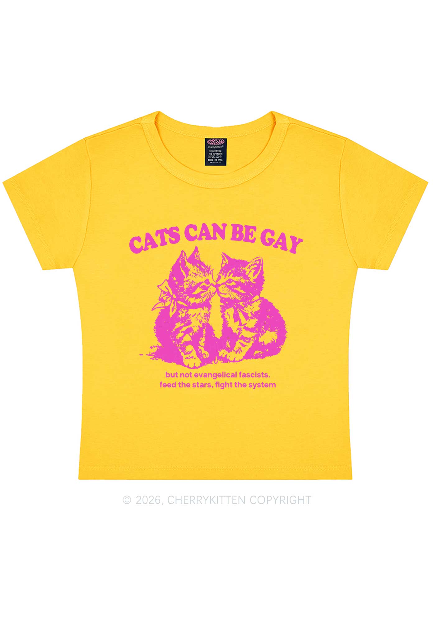 Cat Can Be Gay Pride Y2K Baby Tee Cherrykitten