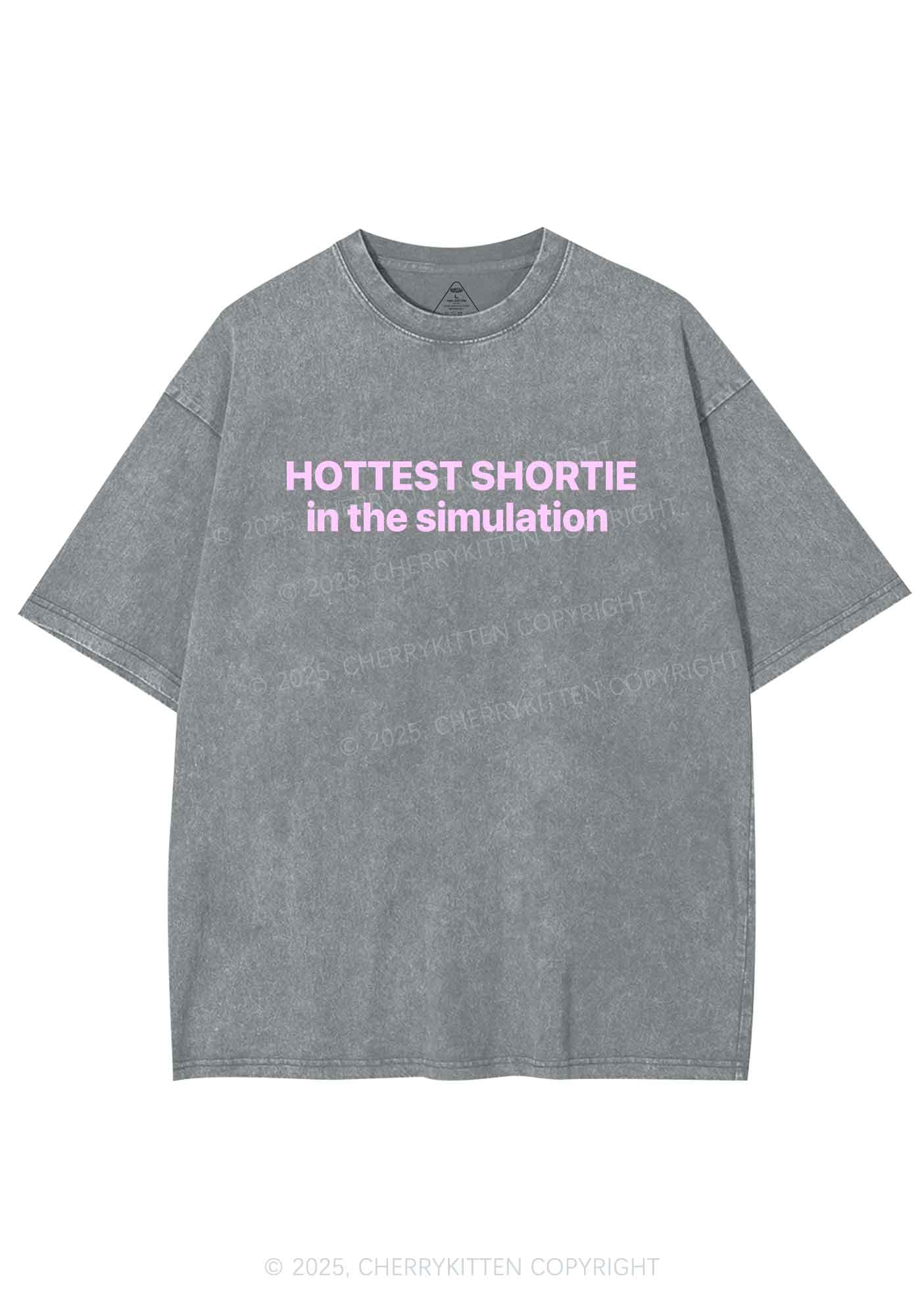 Hottest Shortie In The Simulation Y2K Shirts Washed Tee Cherrykitten
