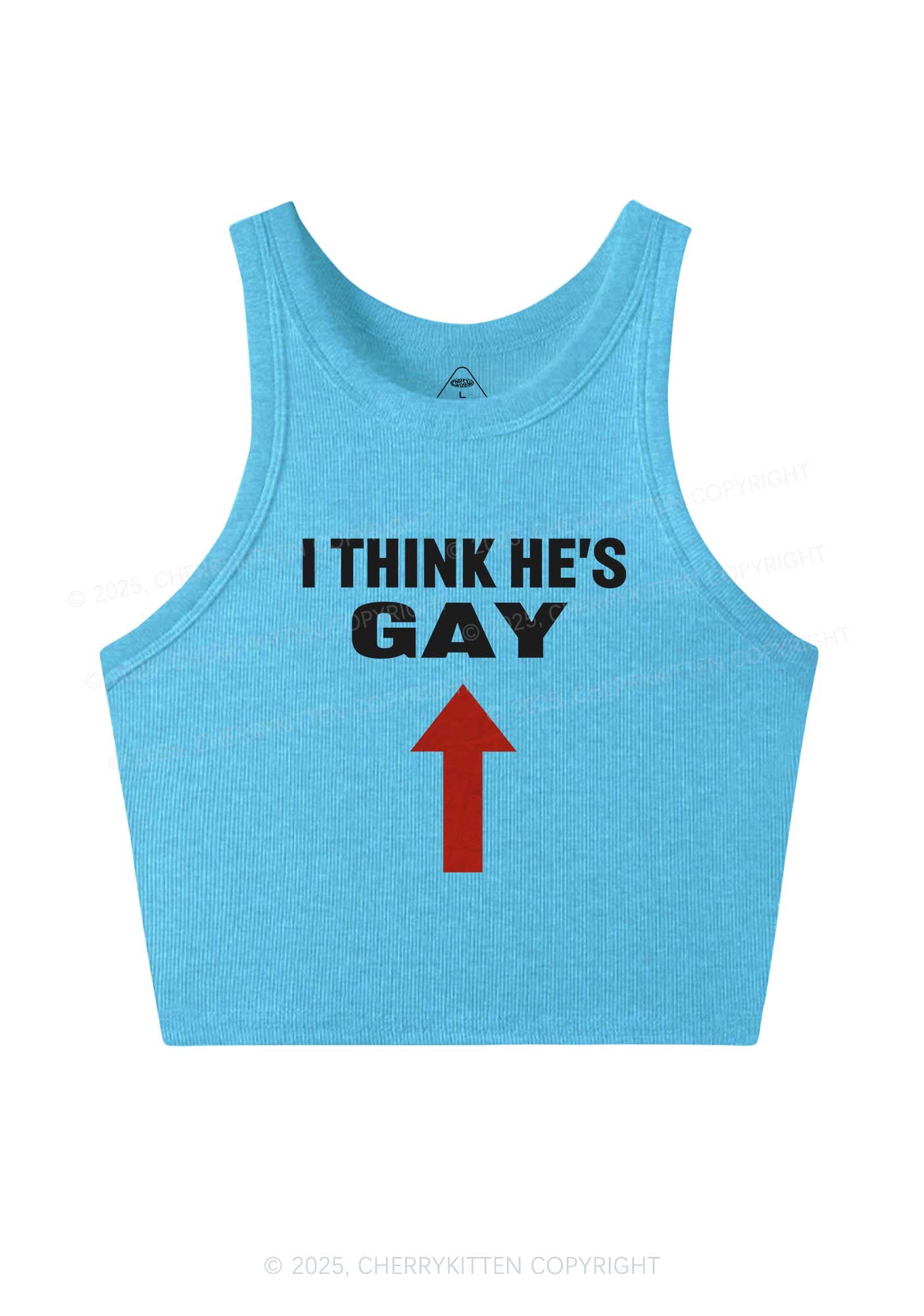 He Is Gay Y2K Crop Tank Top Cherrykitten