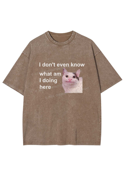 What Am I Doing Here Y2K Washed Tee Cherrykitten