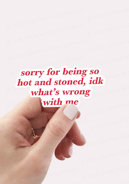 Sorry For Being Hot And Stoned 1Pc Y2K Sticker Cherrykitten