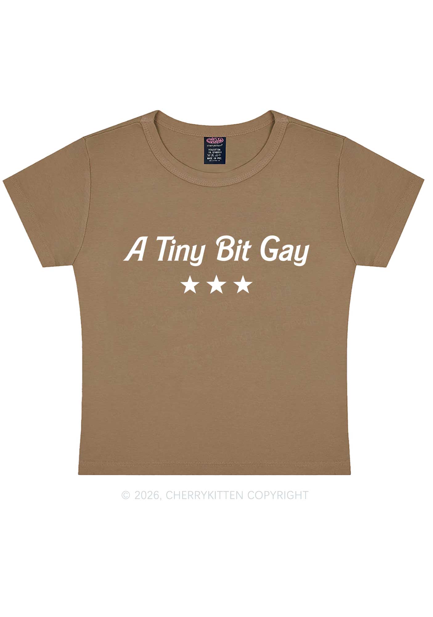 A Tiny Bit Gay Pride Y2K Baby Tee Cherrykitten
