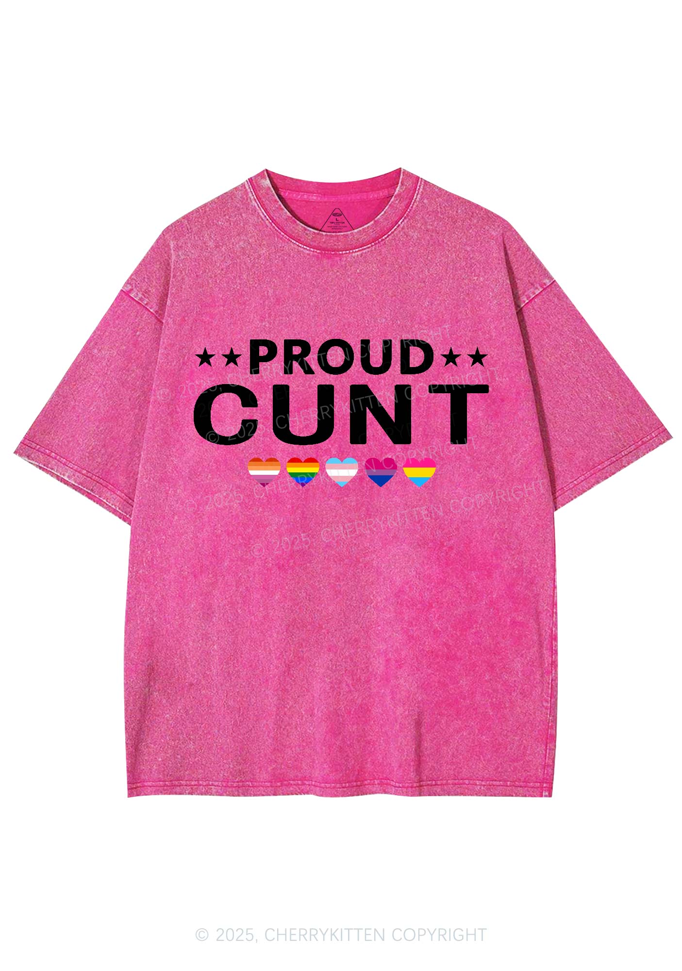Proud Cxxt Pride Y2K Shirts Washed Tee Cherrykitten