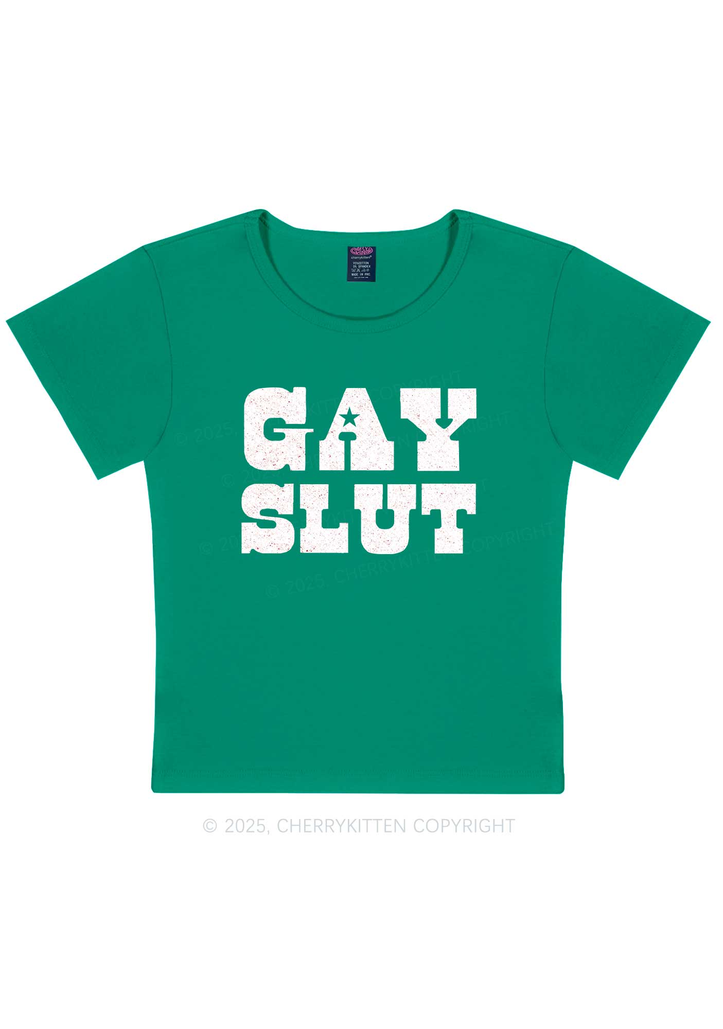 Gay Slxt Pride Y2K Baby Tee Cherrykitten