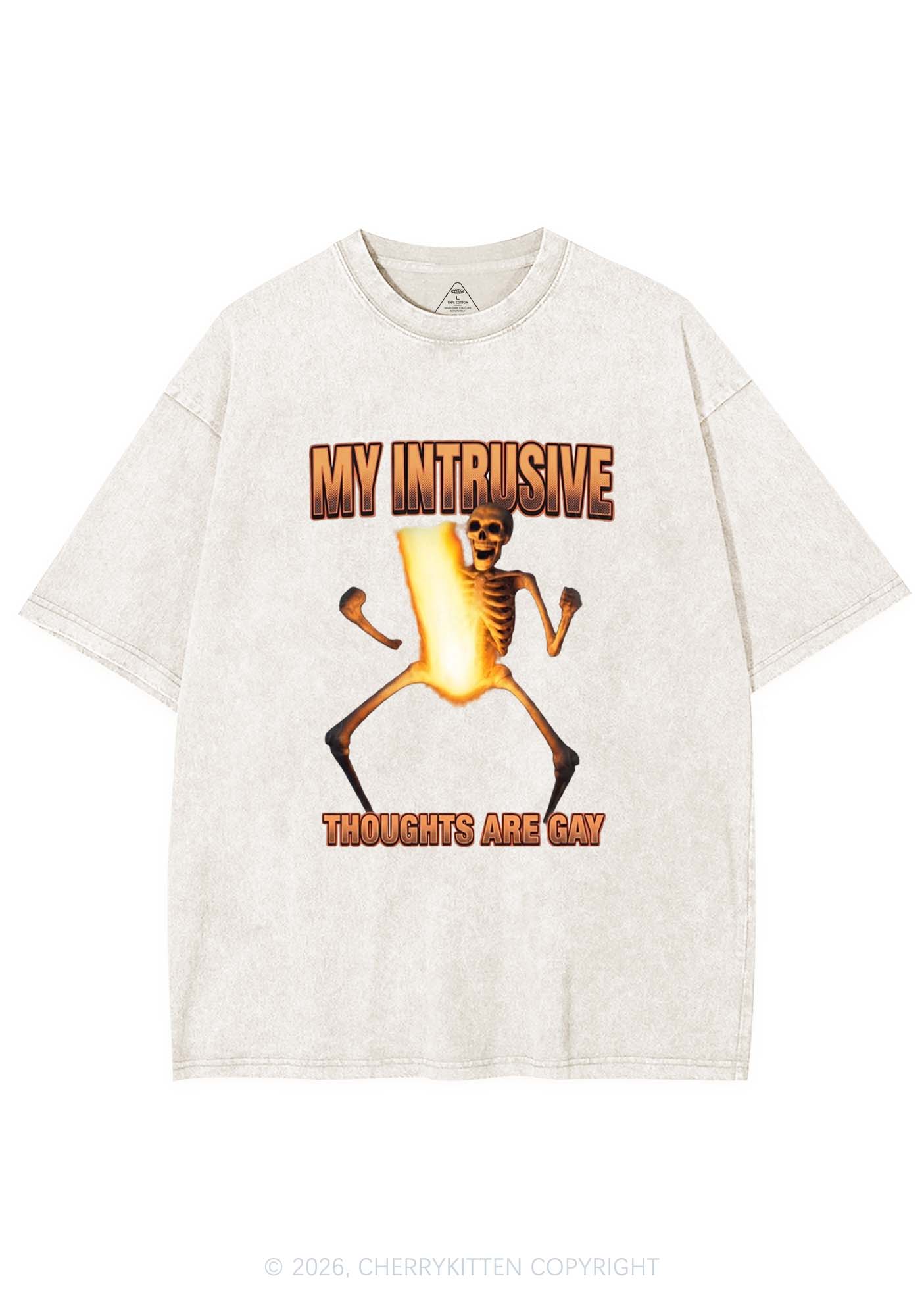 My Intrusive Thoughts Are Gay Pride Y2K Shirts Washed Tee Cherrykitten