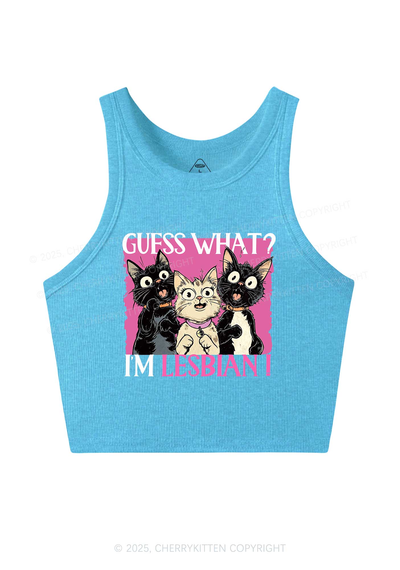 Im Lesbian Cat Pride Y2K Crop Tank Top Cherrykitten