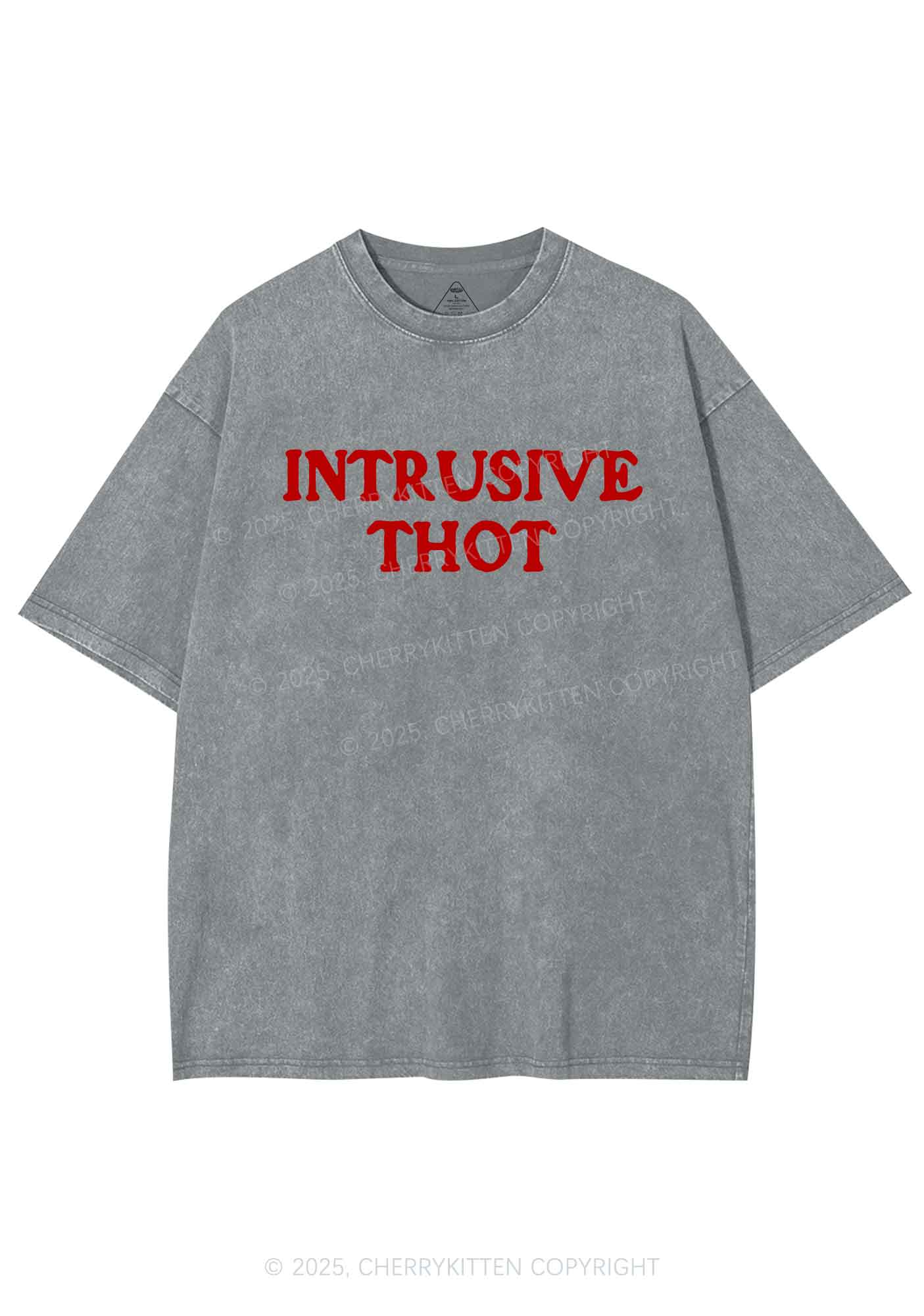 Intrusive Thot Y2K Shirts Washed Tee Cherrykitten